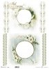 ramki, szlaczki, dekory, stokrotki, kwiaty astry, aster chiński, białe kwiaty*frames, slides, decors, daisies, asters, Chinese asters, white flowers